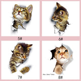 3D Cats Wall Stickers