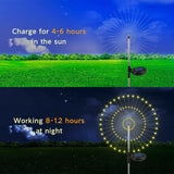 Solar Garden Lights