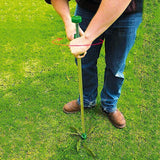 weed puller tool