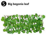 Expanding Trellis With Leaves