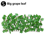 Expanding Trellis With Leaves