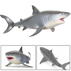 Lifelike Baby Shark