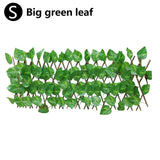 Expanding Trellis With Leaves