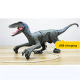 Electric Remote Control Dinosaur Toys