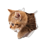 3D Cats Wall Stickers
