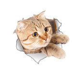 3D Cats Wall Stickers