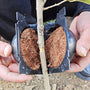 Plant Root Growing Box