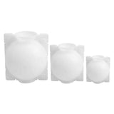 Plant Root Growing Box