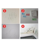 Wall Paint Repair Kit with Roller