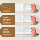 Cute Desktop Misting Fan