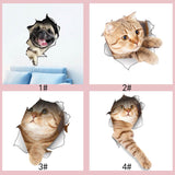 3D Cats Wall Stickers