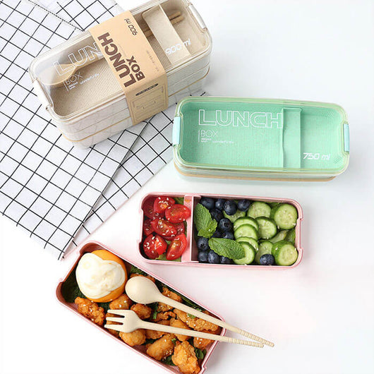 Bento Lunch Box for Kids 3 layer bento Boxes