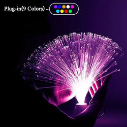 LED Fiber Optic Atmosphere Night Light